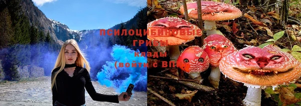 винт Михайлов