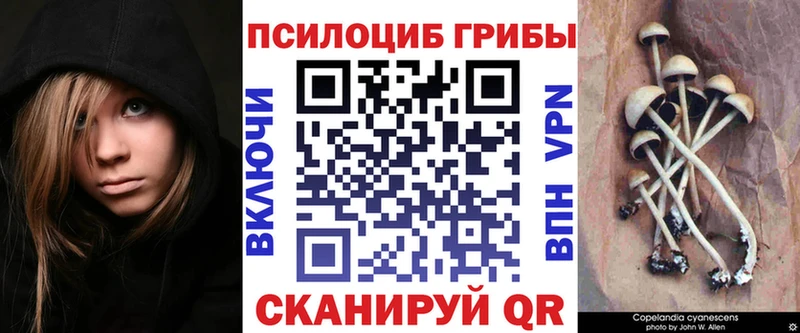 Псилоцибиновые грибы Cubensis  Купить закладки  Сальск 